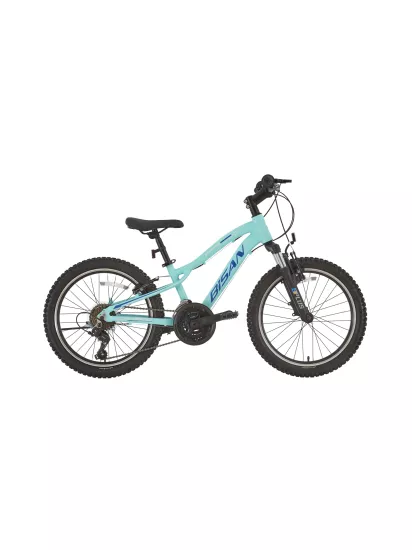 BISAN KDX 2500  20 INCH